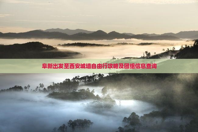 阜新出发至西安城墙自由行攻略及团组信息查询