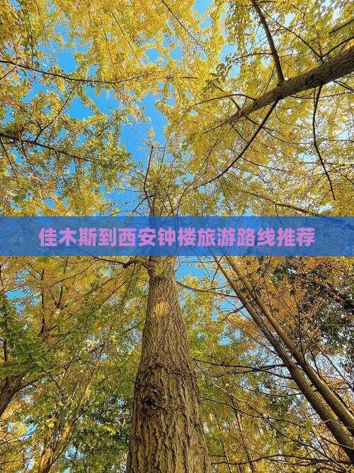 佳木斯到西安钟楼旅游路线推荐