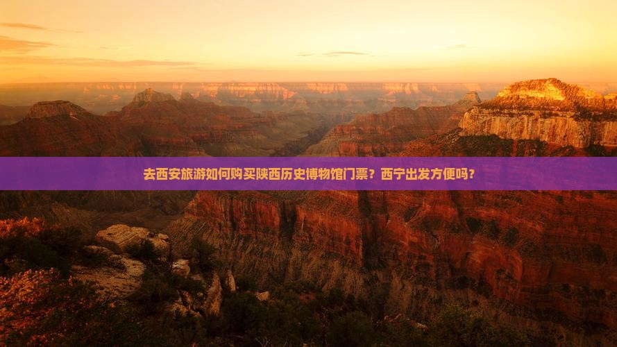 去西安旅游如何购买陕西历史博物馆门票？西宁出发方便吗？