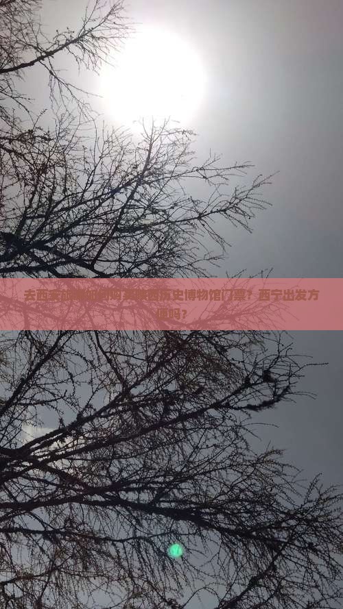 去西安旅游如何购买陕西历史博物馆门票？西宁出发方便吗？
