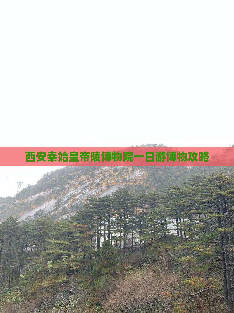 西安秦始皇帝陵博物院一日游博物攻略