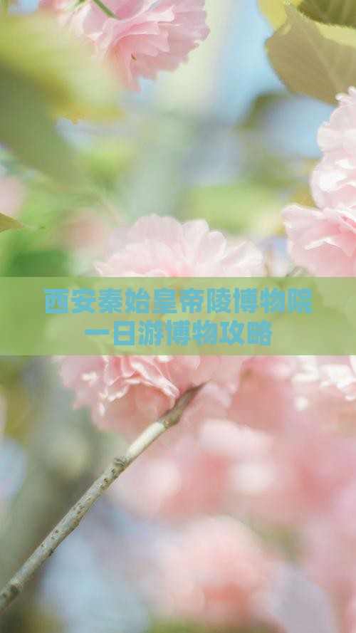 西安秦始皇帝陵博物院一日游博物攻略