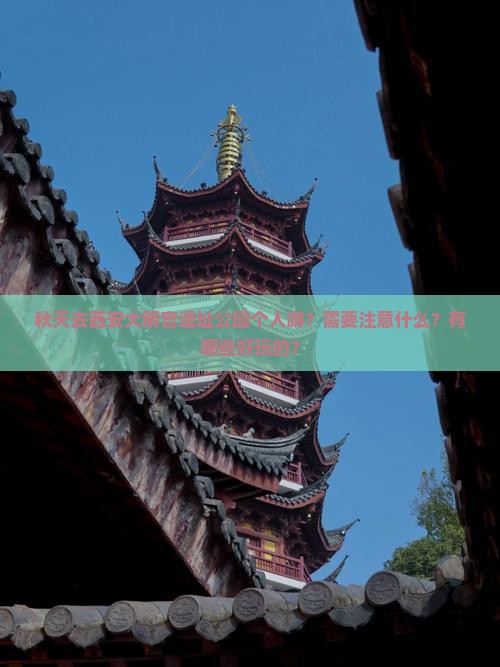 秋天去西安大明宫遗址公园个人游？需要注意什么？有哪些好玩的？