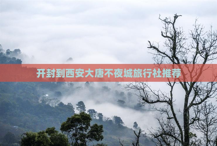 开封到西安大唐不夜城旅行社推荐