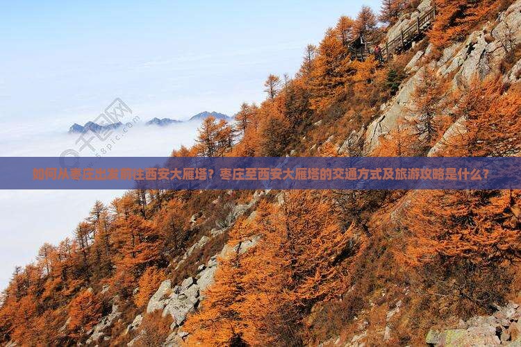 如何从枣庄出发前往西安大雁塔？枣庄至西安大雁塔的交通方式及旅游攻略是什么？