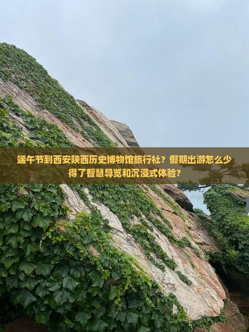 端午节到西安陕西历史博物馆旅行社？假期出游怎么少得了智慧导览和沉浸式体验？