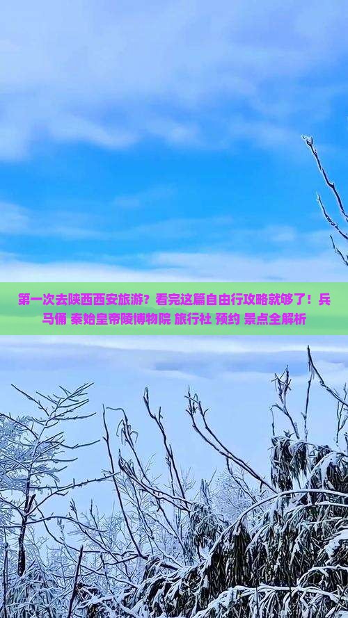 第一次去陕西西安旅游？看完这篇自由行攻略就够了！兵马俑+秦始皇帝陵博物院+旅行社+预约+景点全解析