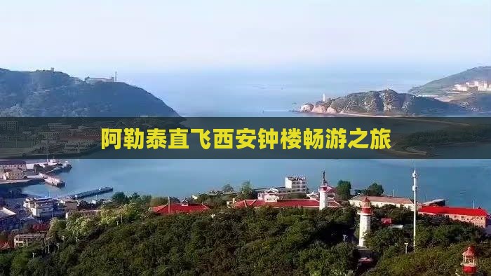 阿勒泰直飞西安钟楼畅游之旅