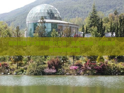 阳泉到西安大唐芙蓉园六日游：涵盖不夜城、沿途景点、自驾旅游团攻略