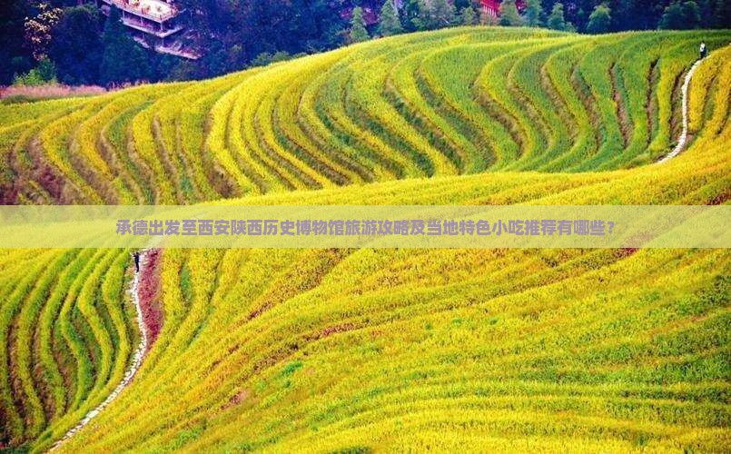 承德出发至西安陕西历史博物馆旅游攻略及当地特色小吃推荐有哪些？