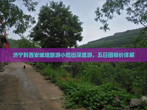 济宁到西安城墙旅游小吃街深度游，五日团报价详解