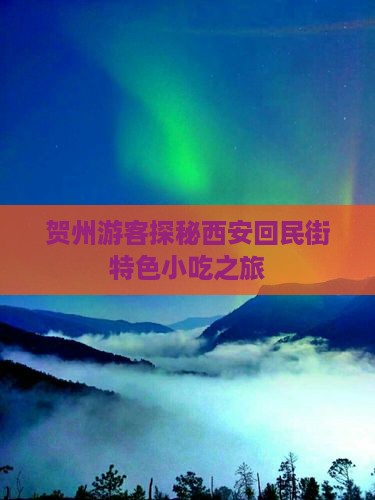 贺州游客探秘西安回民街特色小吃之旅
