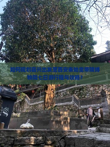 如何规划嘉兴出发至西安秦始皇帝陵博物院七日游行程与攻略？