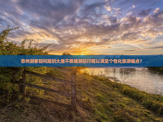 苏州游客如何规划大唐不夜城游玩行程以满足个性化旅游痛点？
