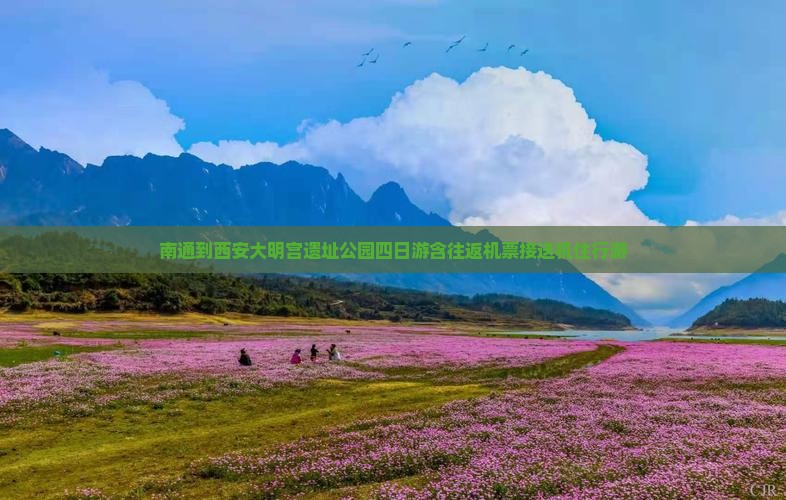 南通到西安大明宫遗址公园四日游含往返机票接送机住行游