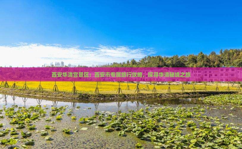 西安华清宫景区：西安市专属旅行攻略，探寻华清秘境之旅