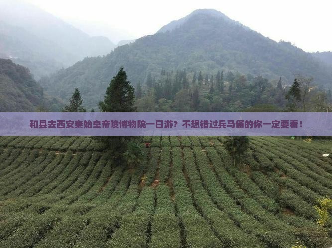 和县去西安秦始皇帝陵博物院一日游？不想错过兵马俑的你一定要看！