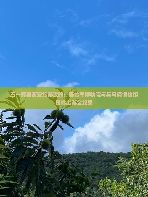 五一假期西安旅游攻略：秦始皇博物院与兵马俑博物馆团体出游全纪录