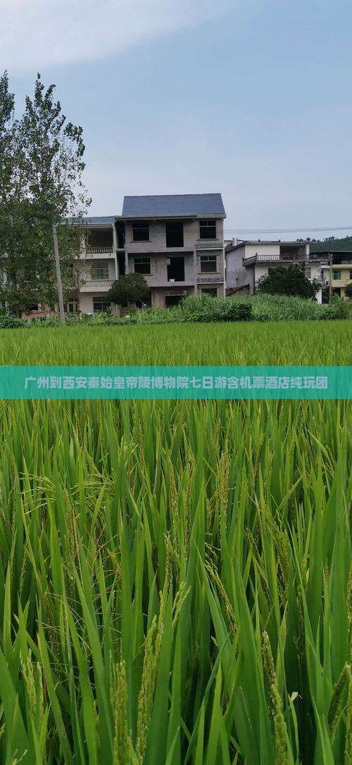 广州到西安秦始皇帝陵博物院七日游含机票酒店纯玩团
