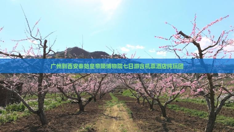 广州到西安秦始皇帝陵博物院七日游含机票酒店纯玩团