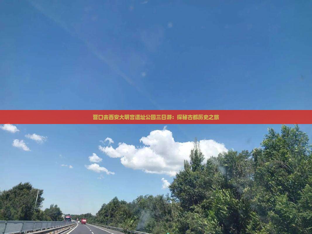 营口去西安大明宫遗址公园三日游：探秘古都历史之旅