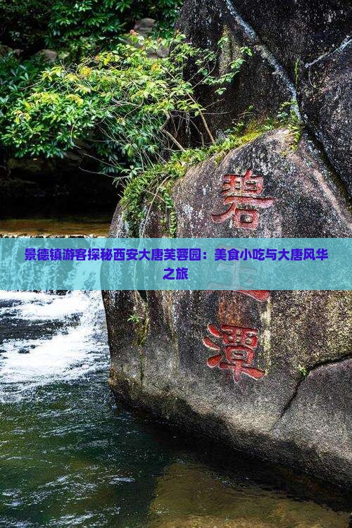 景德镇游客探秘西安大唐芙蓉园：美食小吃与大唐风华之旅