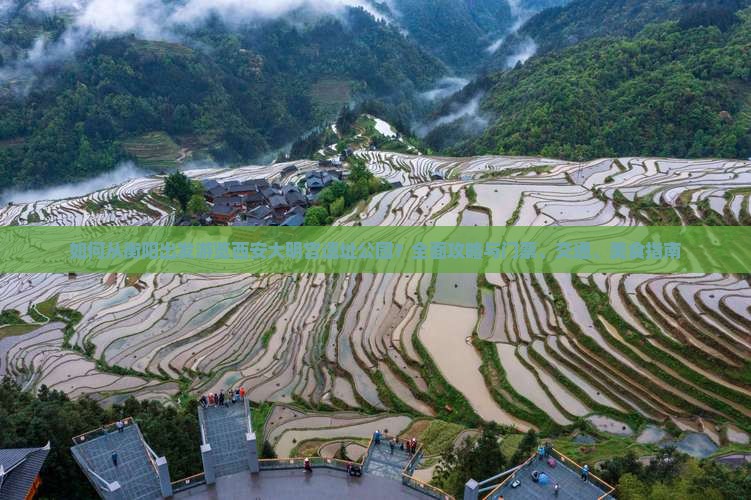 如何从衡阳出发游览西安大明宫遗址公园？全面攻略与门票、交通、美食指南