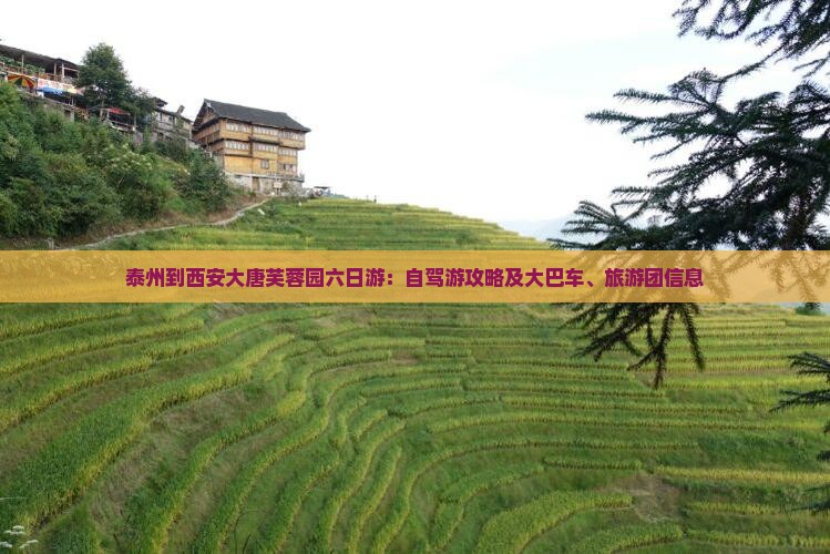 泰州到西安大唐芙蓉园六日游：自驾游攻略及大巴车、旅游团信息