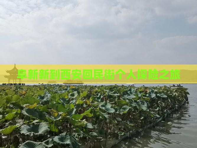 阜新新到西安回民街个人探险之旅