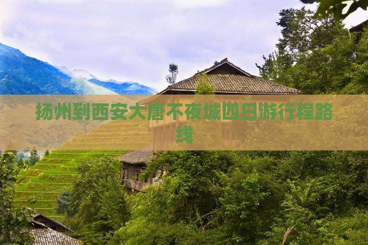 扬州到西安大唐不夜城四日游行程路线