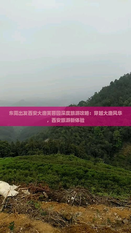 东莞出发西安大唐芙蓉园深度旅游攻略：穿越大唐风华，西安旅游新体验
