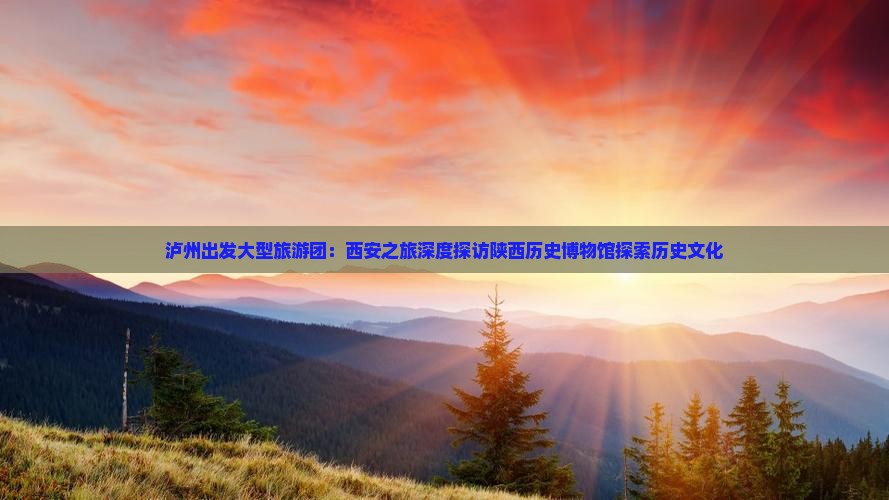 泸州出发大型旅游团：西安之旅深度探访陕西历史博物馆探索历史文化