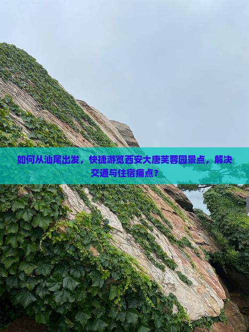 如何从汕尾出发，快捷游览西安大唐芙蓉园景点，解决交通与住宿痛点？
