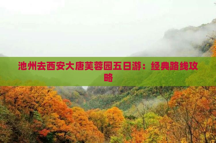 池州去西安大唐芙蓉园五日游：经典路线攻略