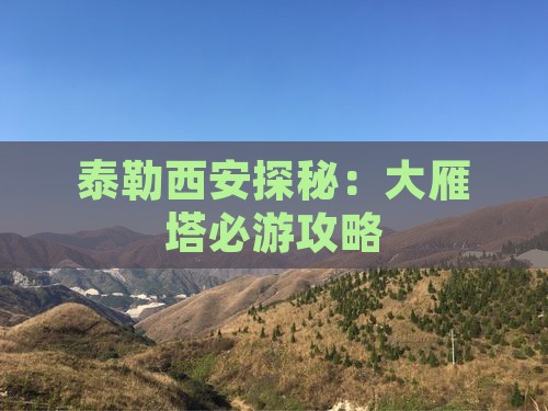 泰勒西安探秘：大雁塔必游攻略