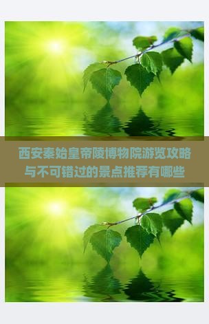西安秦始皇帝陵博物院游览攻略与不可错过的景点推荐有哪些？
