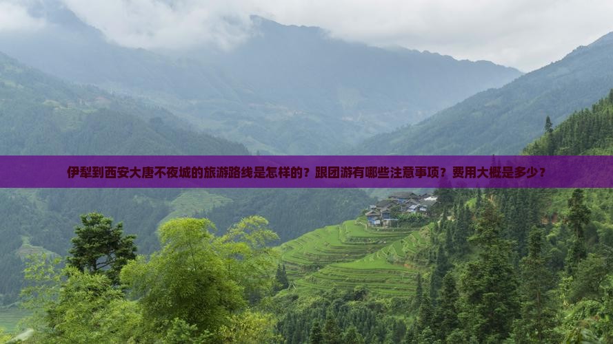 伊犁到西安大唐不夜城的旅游路线是怎样的？跟团游有哪些注意事项？费用大概是多少？
