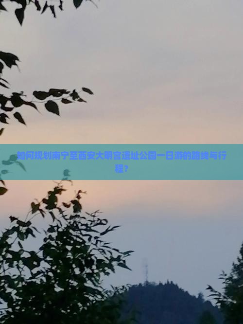 如何规划南宁至西安大明宫遗址公园一日游的路线与行程？