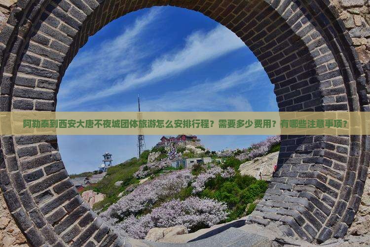 阿勒泰到西安大唐不夜城团体旅游怎么安排行程？需要多少费用？有哪些注意事项？