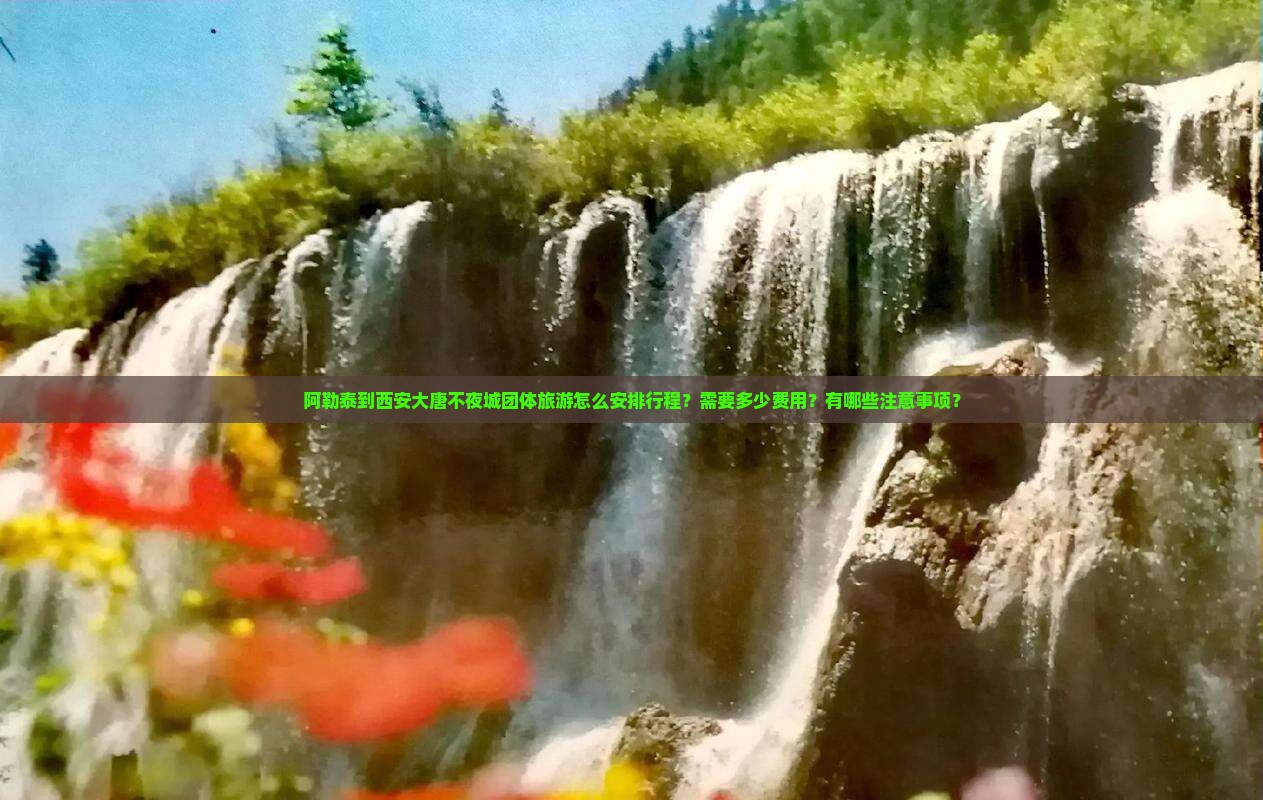 阿勒泰到西安大唐不夜城团体旅游怎么安排行程？需要多少费用？有哪些注意事项？