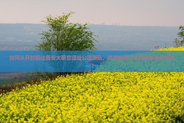 如何从开封前往西安大明宫遗址公园游玩，有哪些新玩法和痛点解决策略？