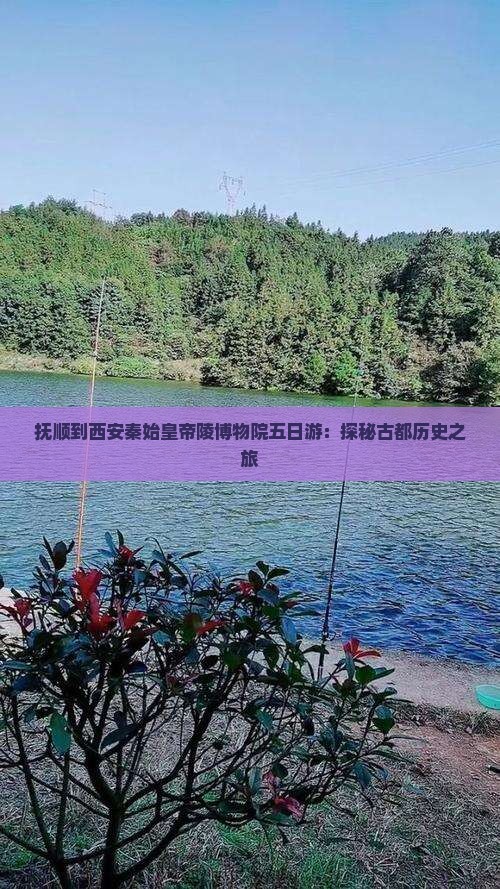 抚顺到西安秦始皇帝陵博物院五日游：探秘古都历史之旅