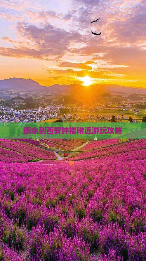 衡水到西安钟楼附近游玩攻略