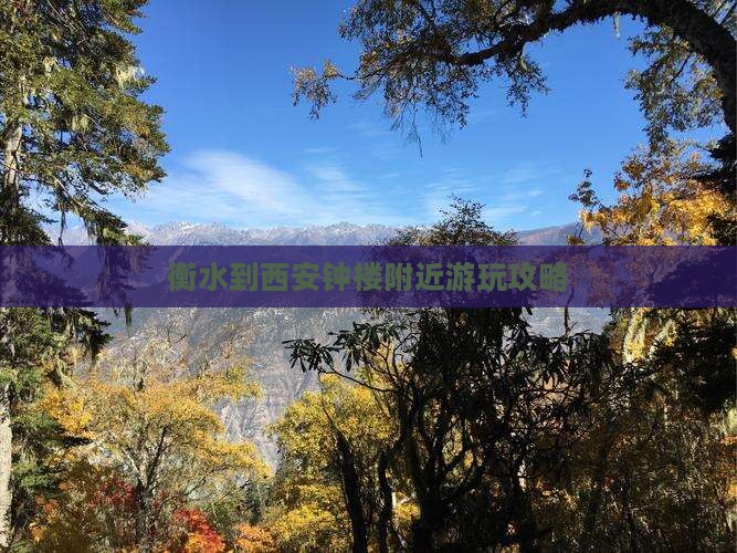 衡水到西安钟楼附近游玩攻略