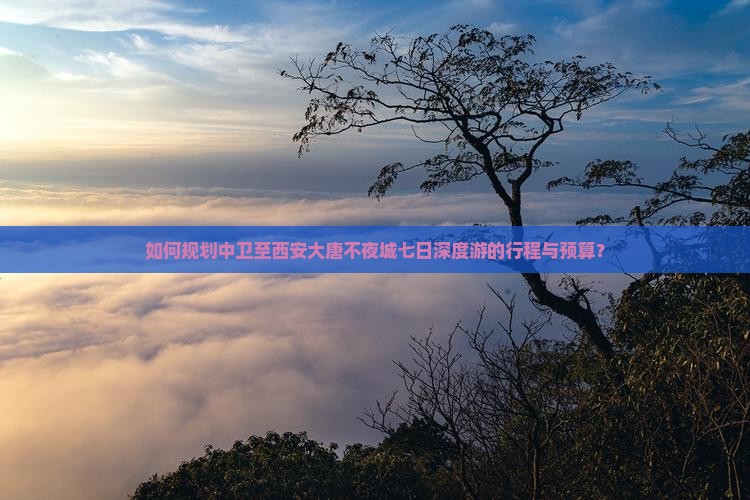 如何规划中卫至西安大唐不夜城七日深度游的行程与预算？