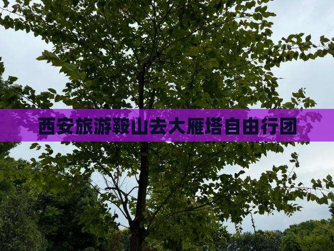 西安旅游鞍山去大雁塔自由行团