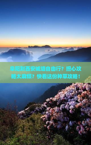 阜阳到西安城墙自由行？担心攻略太麻烦？快看这份种草攻略！