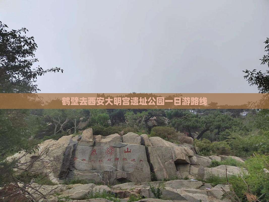 鹤壁去西安大明宫遗址公园一日游路线