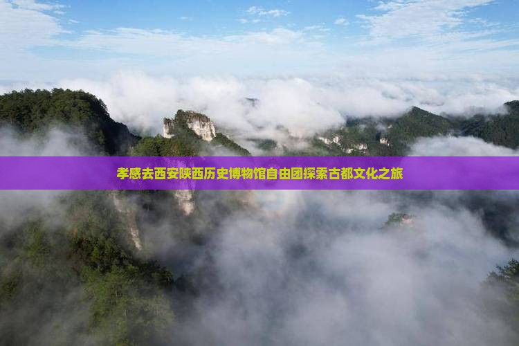 孝感去西安陕西历史博物馆自由团探索古都文化之旅