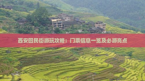 西安回民街游玩攻略：门票信息一览及必游亮点
